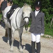 Anden særlig race Nitus | gamle part