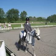 Anden særlig race Nitus | gamle part