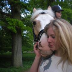 Palomino Gl. Part. Fortunens Logo 