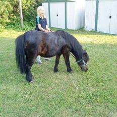 Anden særlig race Makker <3<3