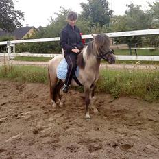 Anden særlig race Sir Duke