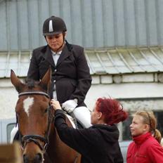 Dansk Varmblod Coleman *HIMMELHEST*