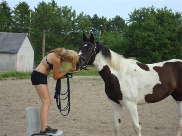 Pinto Citka Jasmina billede 7