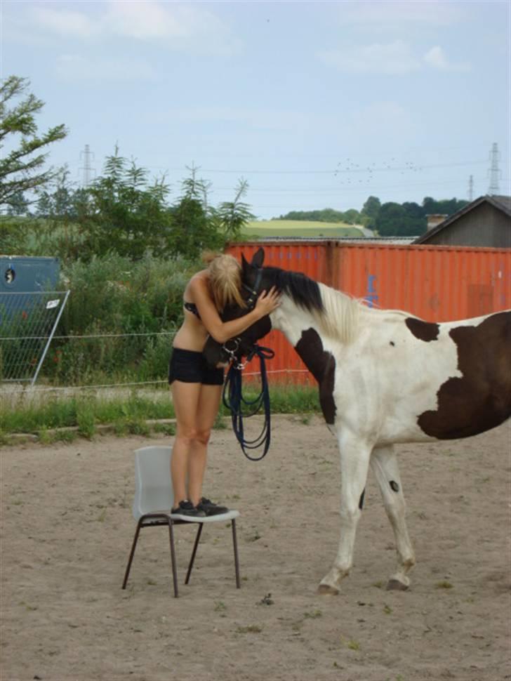 Pinto Citka Jasmina billede 8