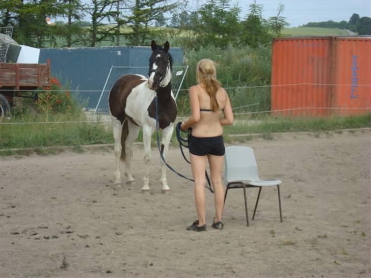 Pinto Citka Jasmina billede 10