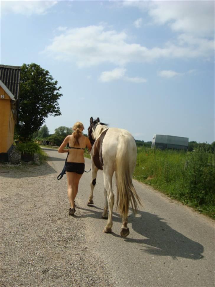 Pinto Citka Jasmina billede 13