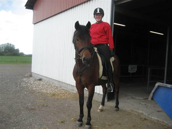 New Forest Romeo’s Eldorado - nej hvad sker der der ?? XD billede 16