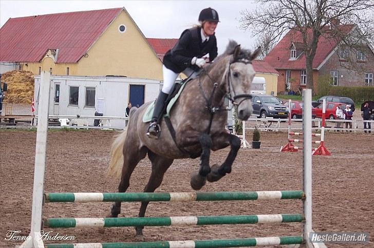 Anden særlig race <3 Domingo <3 - Springstævne 2. gang Maj 2010 billede 15