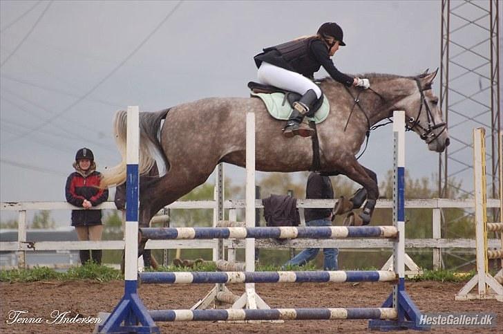 Anden særlig race <3 Domingo <3 - Springstævne 2. gang Maj 2010 billede 16