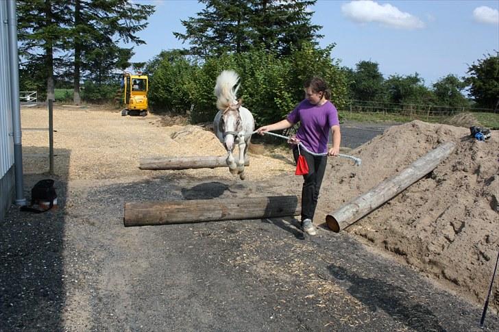 Pinto focus - punker hår XD billede 7