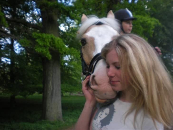 Palomino Gl. Part. Fortunens Logo  - skovtur med Logo og 2 veninder billede 2