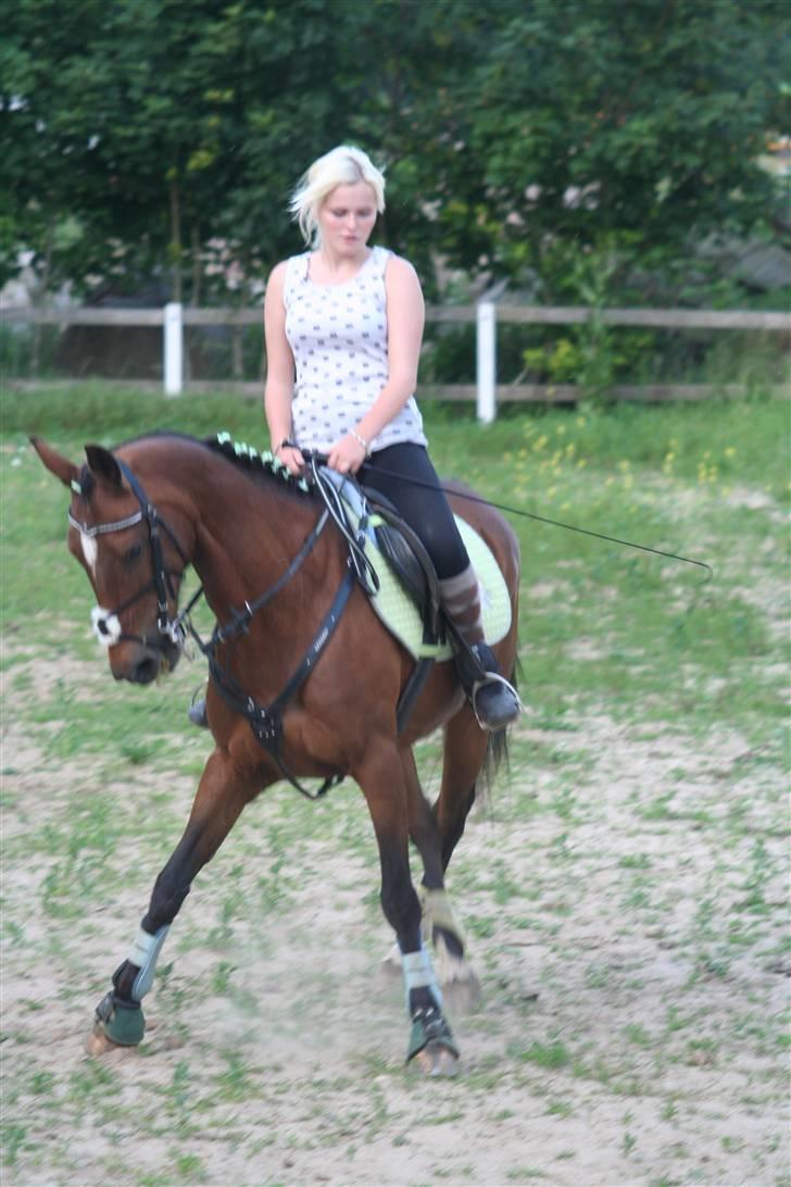 DSP Brunett ( L ) RIP! - Ingen kommentar til manglende ridehjelm .. mit eget ansvar billede 17