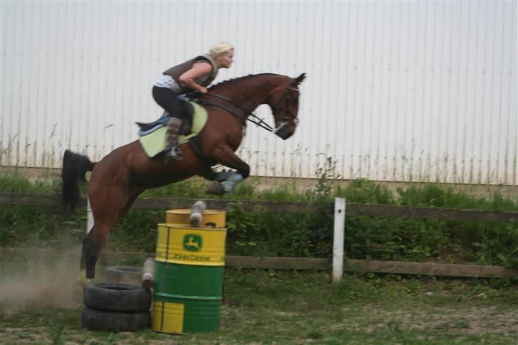 DSP Brunett ( L ) RIP! - Mit eget ansvar..  billede 18