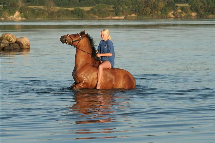 New Forest Delicious (solgt) billede 4