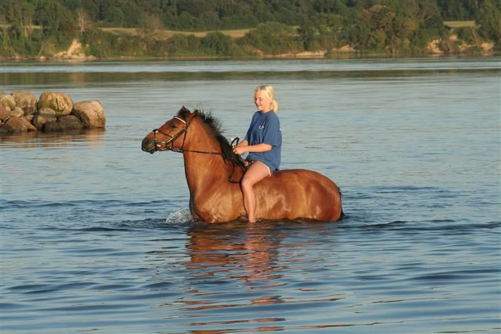 New Forest Delicious (solgt) billede 5