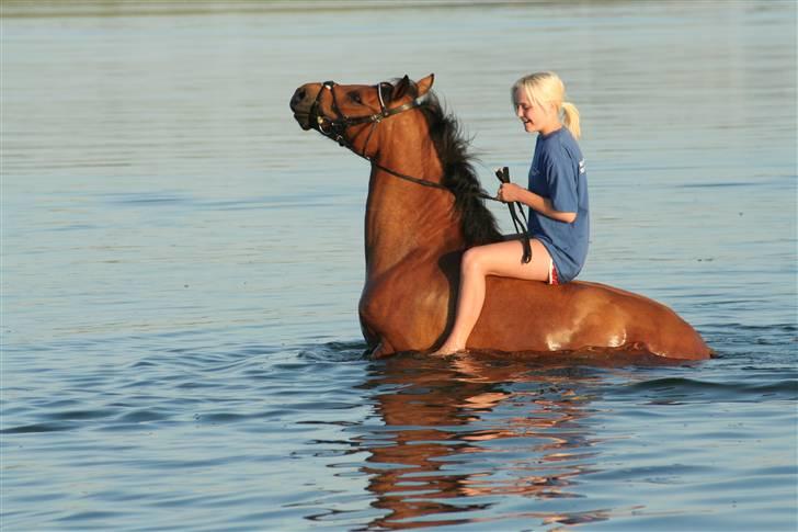 New Forest Delicious (solgt) billede 7