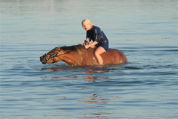 New Forest Delicious (solgt) billede 8