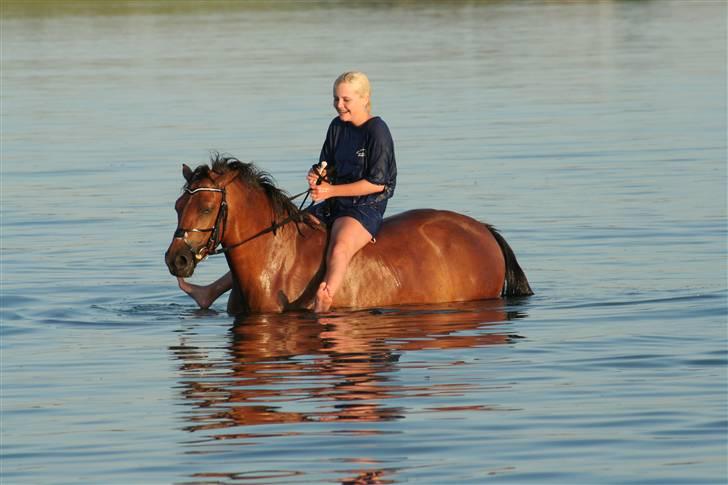 New Forest Delicious (solgt) billede 9