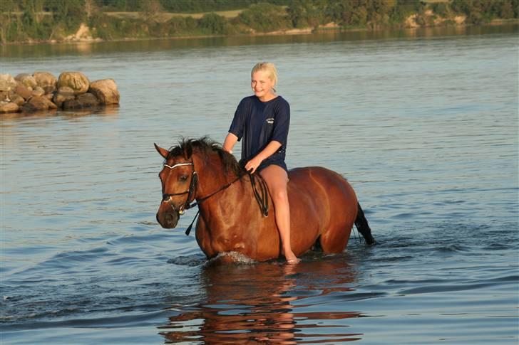 New Forest Delicious (solgt) billede 10