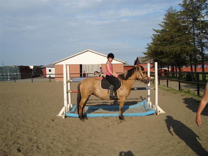 Anden særlig race honey *gammel part* - måtte ikke springe, men skulle lige være lidt sej<3 billede 2