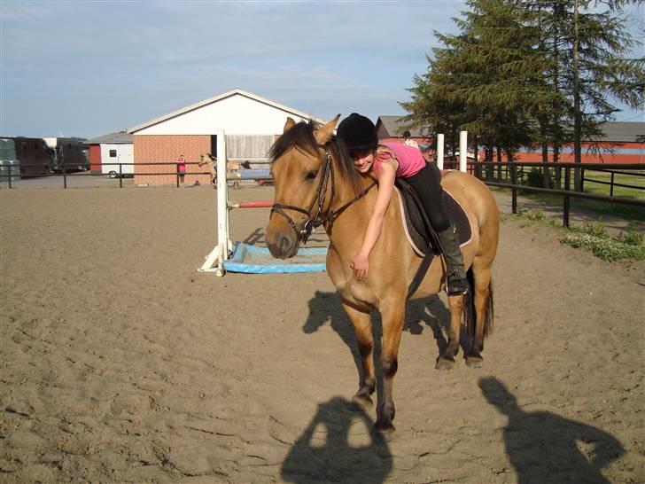 Anden særlig race honey *gammel part* - stor krammer<3 billede 3