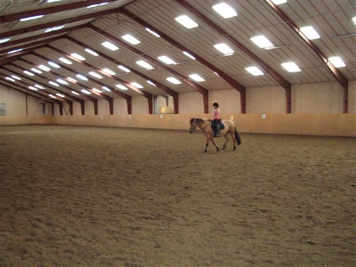 Anden særlig race honey *gammel part* - skridter lige af<3 billede 5