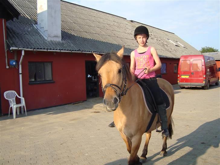 Anden særlig race honey *gammel part* - i gården og lege model<3 billede 6