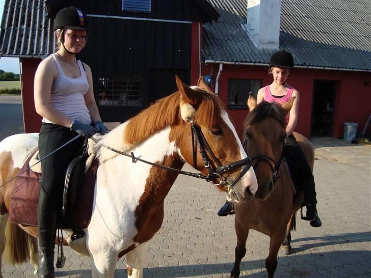 Anden særlig race honey *gammel part* - nusser lidt med tosse<3 billede 7