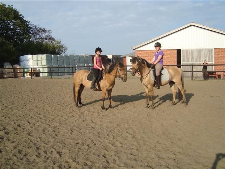 Anden særlig race honey *gammel part* - siger hej til solle<3 billede 8