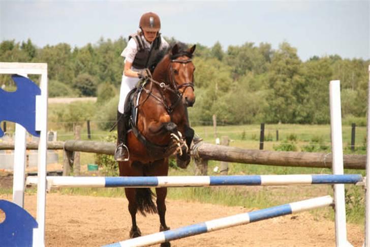 Anden særlig race lucky star billede 11