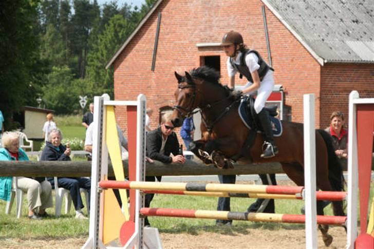 Anden særlig race lucky star billede 12