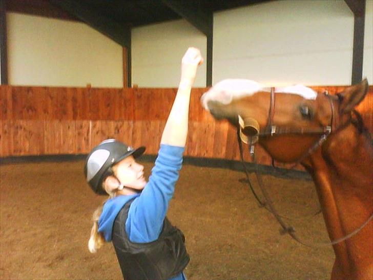 Anden særlig race **Flux<3** solgt:´( - vi laver triks :P hehe billede 10