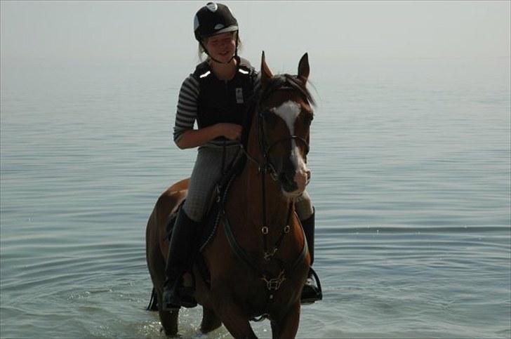 Anden særlig race **Flux<3** solgt:´( - på tur tll stranden:D ELSKER DIG FLUX! <3 billede 11