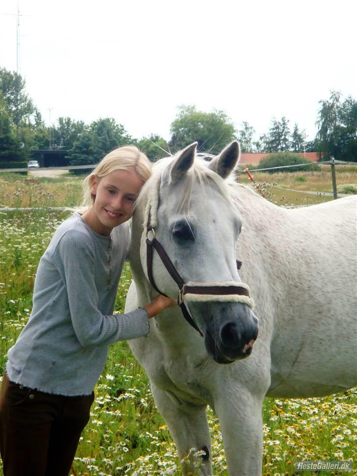Arabisk fuldblod (OX) Progres  - Fordi jeg elsker dig !! <333 Drømmehesten?? ja virkelig <3333 bedste?? ja <33 sød ?? Ja <3333 Love you ! billede 19