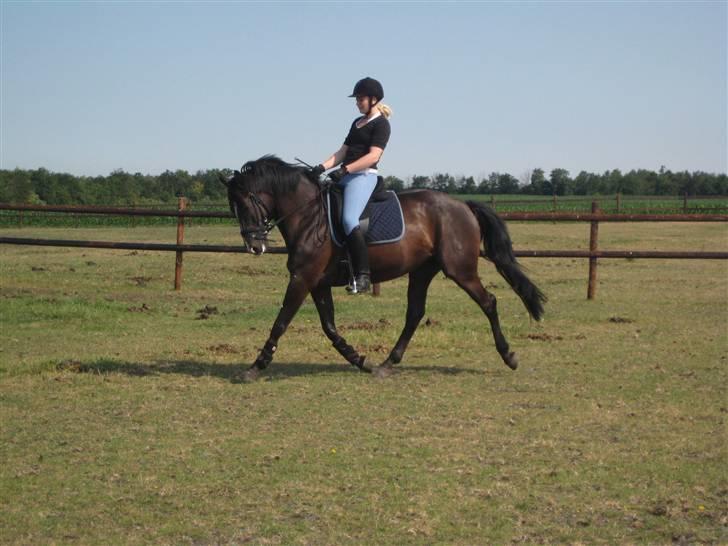 Oldenborg Tamara Sejr  billede 2