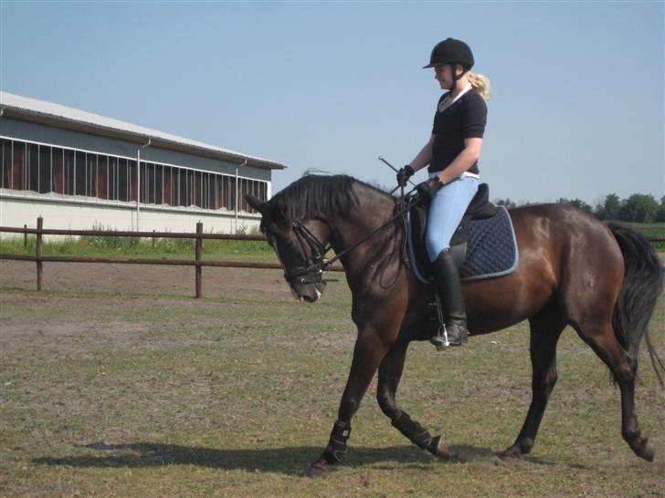 Oldenborg Tamara Sejr  billede 3