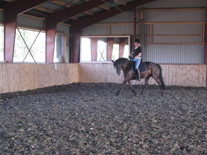 Oldenborg Tamara Sejr  billede 4