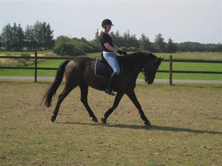 Oldenborg Tamara Sejr  billede 5