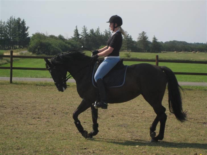 Oldenborg Tamara Sejr  billede 6