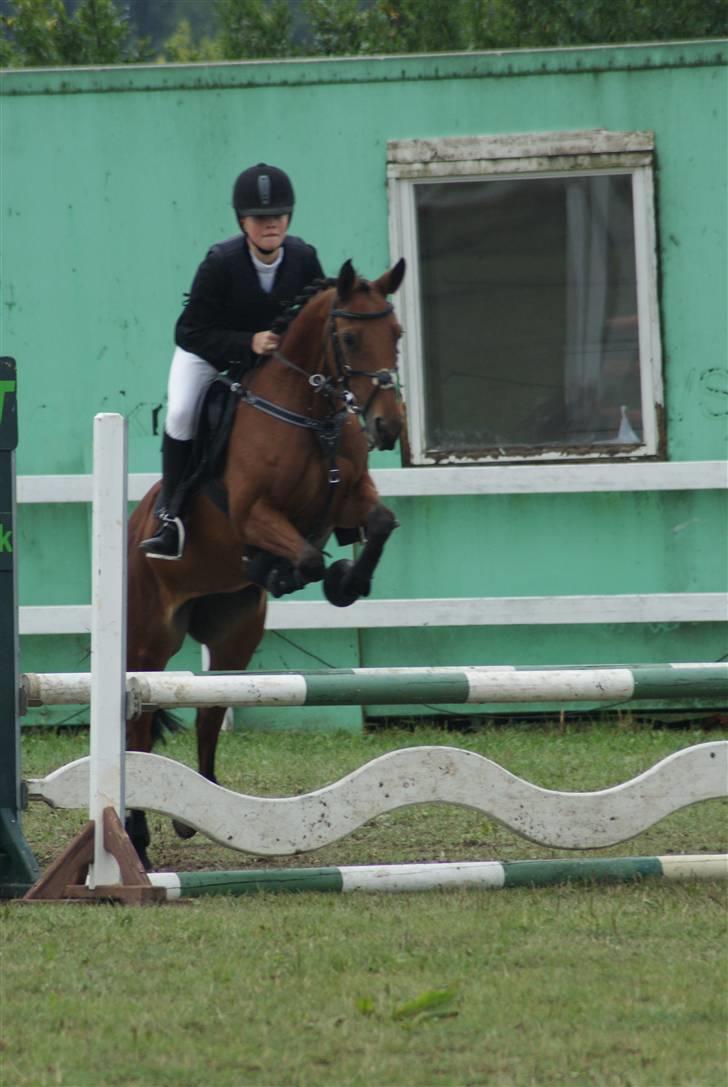 Anden særlig race Nørremarks Dunja - KER 09-foto:Linnea Dalsgaard Vilain billede 3