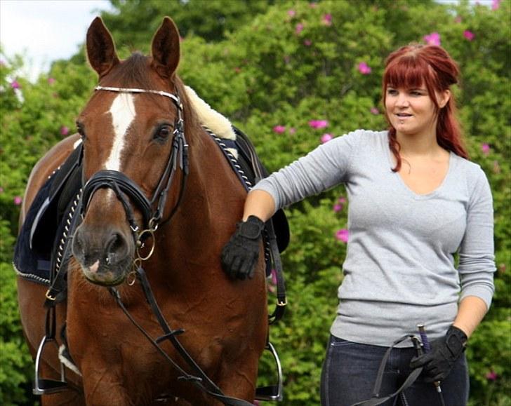 Dansk Varmblod Sprudalshøjs Guvanør - Taget af Camilla Lauridsen billede 5