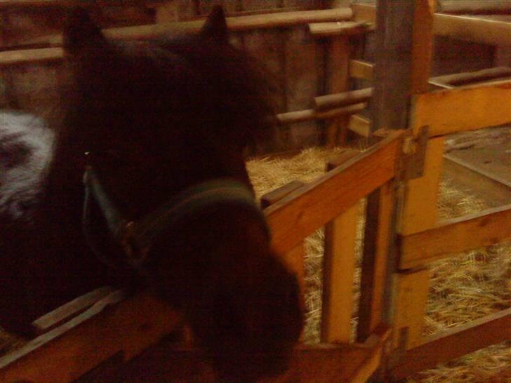 Anden særlig race Makker <3<3 - har du noget til miig? hihi  lover boy billede 3