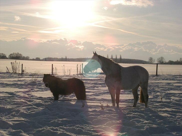 Anden særlig race Makker <3<3 - står sammen med min ven ;) billede 6