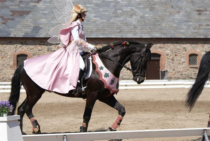 Frieser Kalif - vibeke og kalif med de smukke drakter på billede 8