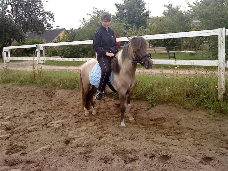 Anden særlig race Sir Duke - NYT ;D duke med hans bedre halvdel ;D billede 2