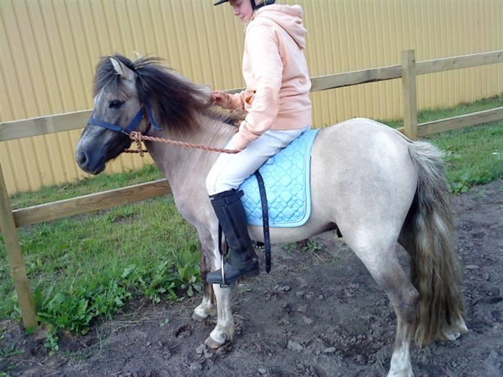 Anden særlig race Sir Duke - Smukke <3 billede 3