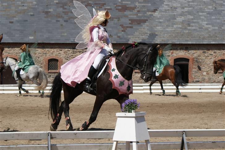 Frieser Kalif - ride rund med drakterne på <33 billede 10