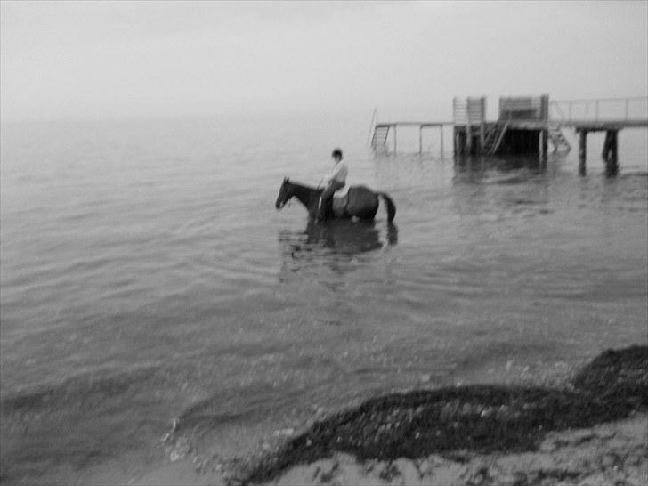 Traver Malachi - første badetur på vedbæk strand billede 6