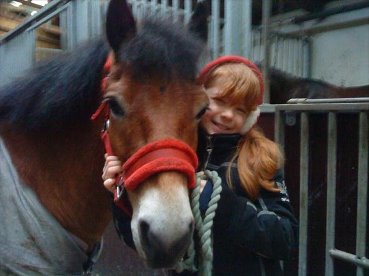 Gotlandsruss Bobbi *solgt & savnet* - mig og bobbi:) billede 14