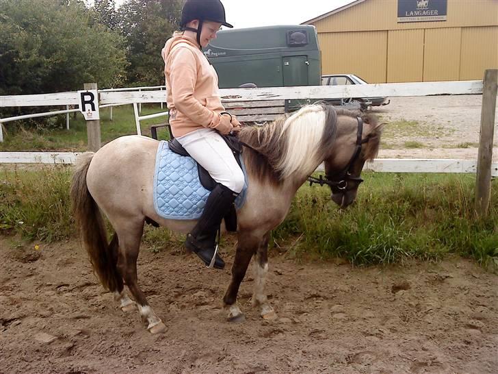 Anden særlig race Sir Duke - han er bare så dygtig <3 billede 1